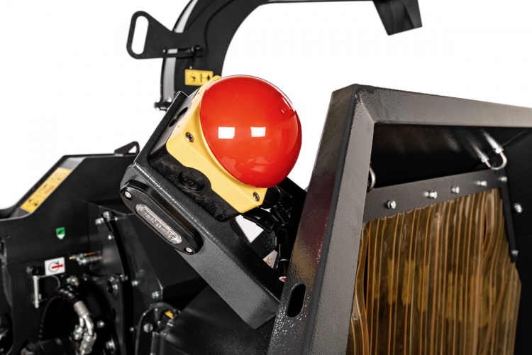 cedrbd16_16.jpg
